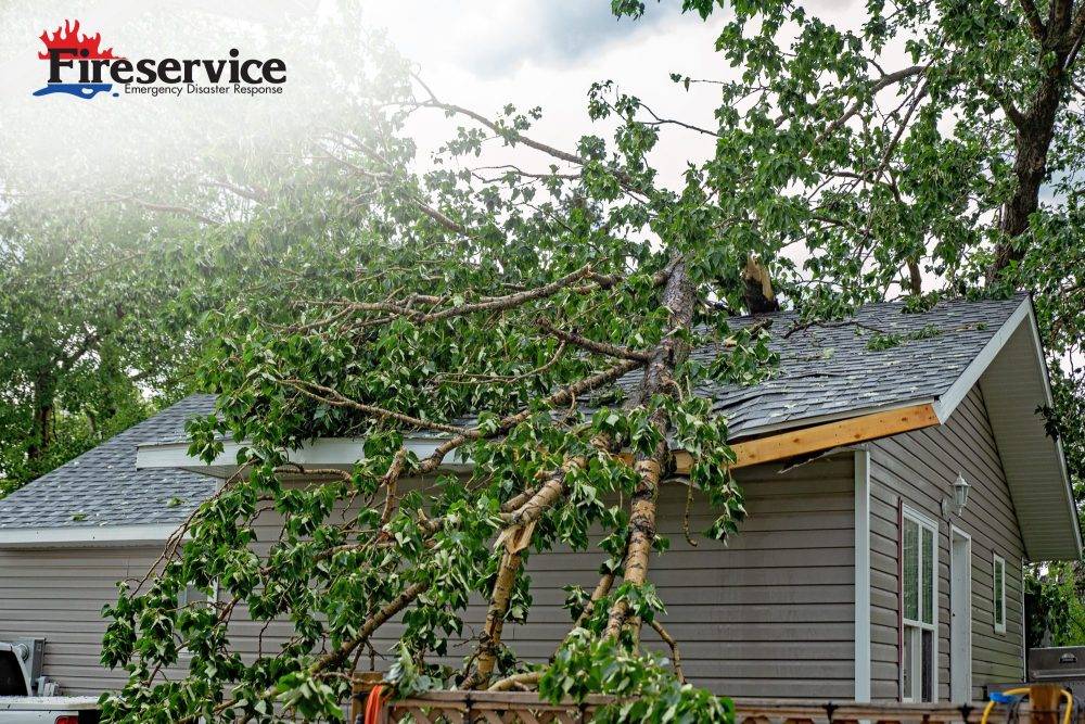 A large tree with green leaves fallen on a residential rooftop during a summer storm.
