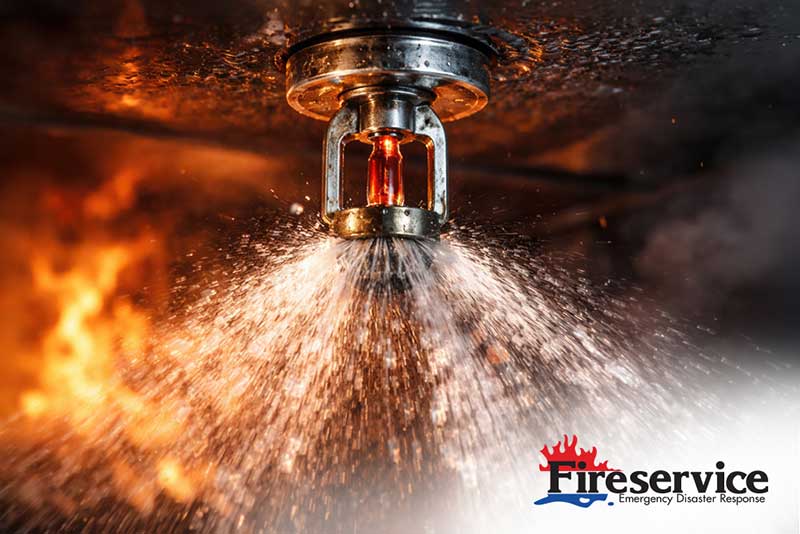 A fire sprinkler releases water to extinguish flames, with fire visible in the background; "Fireservice Emergency Disaster Response" logo at bottom right.